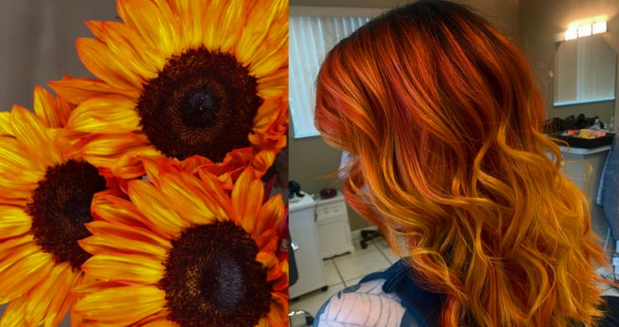 sunflower red hair